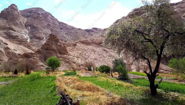 روستای قطروم یزد